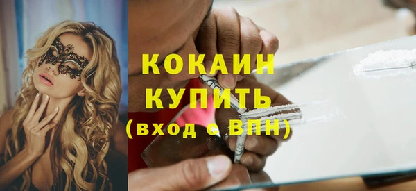 спиды Богданович