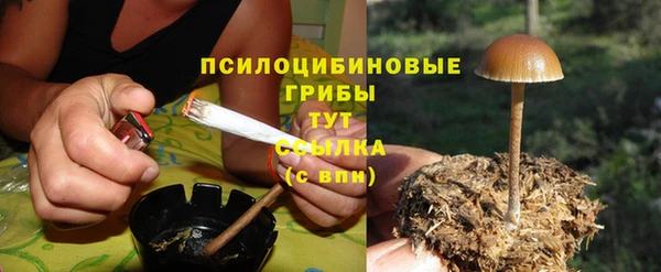 спиды Богданович