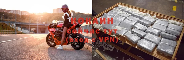 дурь Богородицк