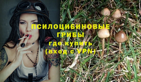 спиды Богданович