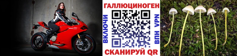 Купить  Суджа  Галлюциногенные грибы мухоморы 